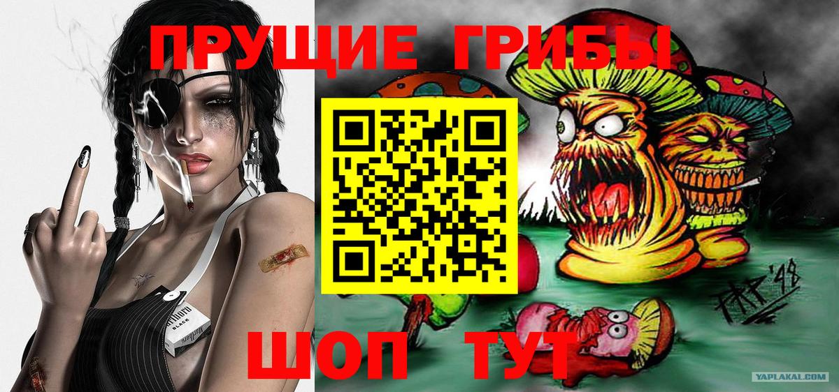 Галлюциногенные грибы Psilocybe  Вход с VPN  Кудрово 